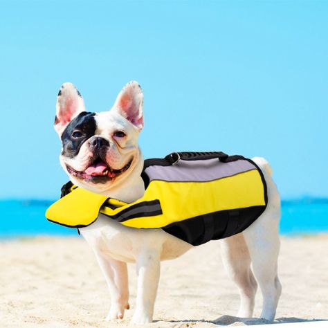 #doglife #lifejacket #lifevest #smalldog #puppy #petlovers #dog #swimming #petsafety #rescue #doghealth Dog Cooling Vest, Dog Life Jacket, Dog Life Vest, Dog Swimming, Life Vest, Dog Safety, Boy Dog, Summer Dog, Puppy Clothes