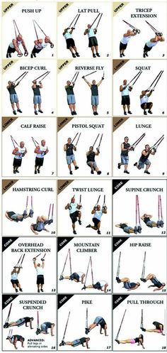 Trx Lower Body Workout, Trx Workouts For Women Beginners, Trx Workouts For Women, Trx Ab Workout, Trx Workout Plan, Trx Gym, Trx Abs, Trx Class, Trx Full Body Workout