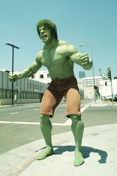 Lou Ferrigno, The Hulk The Incredible Hulk 1978, Happy 72nd Birthday, Incredible Hulk Tv, David Banner, 72nd Birthday, Banner Hulk, Lou Ferrigno, Superhero Tv Series, Hulk Art