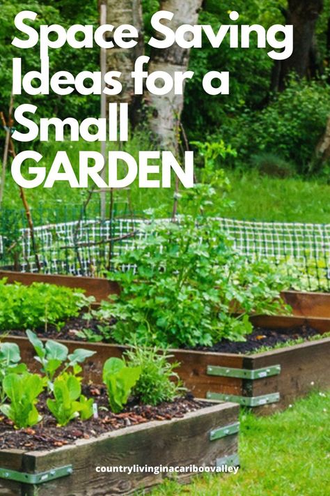 Small Vegetable Garden, Small Garden Layout, Gemüseanbau In Kübeln, Tiny Garden Ideas, Backyard Design Ideas Budget, Backyard Design Ideas, Small Vegetable Gardens, Garden Plots, Backyard Vegetable Gardens