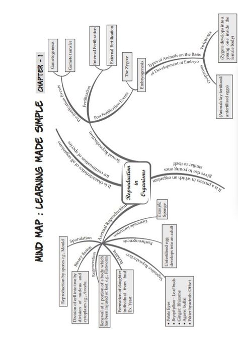 Human Reproduction Mind Map, Reproduction In Organisms, Cell Notes, Neet Notes, Learn Biology, Study Chemistry, Biology Facts, Study Flashcards, Mind Maps