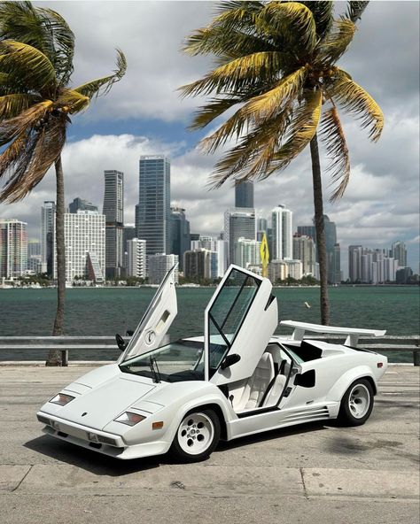 Lambo Countach, Countach Lamborghini, White Countach, Cars Old, Cars Lamborghini, Lamborghini Countach Tattoo, Lamborghini Vintage, Classic Lamborghini, Lamborghini Countach Wallpapers