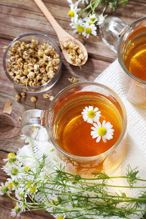 Create a Chamomile Border for 9 Amazing Reasons Herbal Tea Photography, Healing Tea Recipes, Chamomile Tea Benefits, Ancestral Nutrition, Healing Tea, Desain Editorial, Tea And Books, Herbal Tea Blends, Tea Benefits