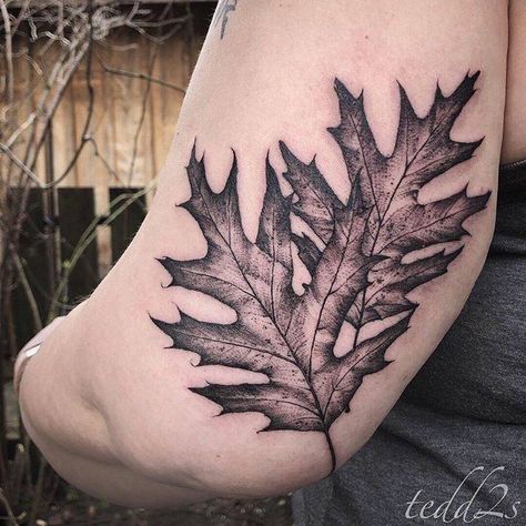 Treasure Tattoo, Oak Leaf Tattoo, Oak Tattoo, Oak Leaf Tattoos, Fall Leaves Tattoo, Tree Tat, Leaves Tattoo, Leaf Tattoo, Nature Leaves