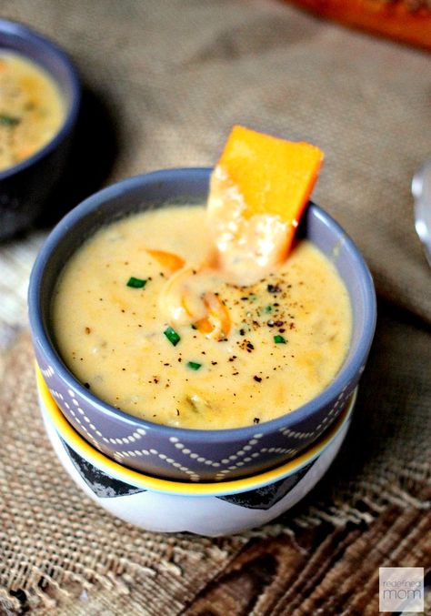 Apple Beer, Beer Cheese Soup Recipes, Grilled Cheese And Tomato Soup, Beer Cheese Soup, Cheese Soup Recipe, Slow Cooker Apple, Cheese And Tomato, Beer Cheese Soups, Cheese Soup Recipes