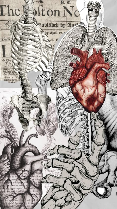 anatomy, medical, medicine Medical Lockscreen, Medical Art Wallpaper, Medicine Aesthetic Wallpaper, Anatomy Background, Body Anatomy Art, Medicine Wallpaper, Medicine Anatomy, Vintage Medical Art, Anatomy Wallpaper