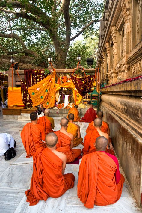 Mahabodhi Temple, Best Buddha Quotes, India Vacation, Bodh Gaya, Buddhist Monks, India Images, Bodhi Tree, Buddhist Monk, Indian Heritage