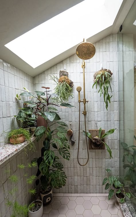 Rainforest Inspired Bathroom, Plant Shower Ideas, Bathroom Astethic Cozy, Shower With Plants Inside, Plants In The Shower Ideas, Showers With Plants, Shower With Plants, Plants In Shower Ideas, Plants In Shower