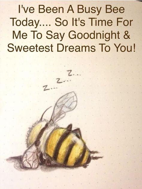 Funny Good Night Quotes, Good Night Qoutes, Bee Quotes, Beautiful Good Night Quotes, Good Night Sleep Tight, Good Night Funny, Cute Good Night, Morning Quotes Funny, Slaap Lekker