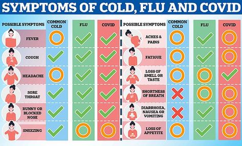 Fever Symptoms, Sore Throat And Cough, Blocked Nose, Persistent Cough, Hay Fever, Respiratory Illness, Cold Symptoms, Stomach Issues, Respiratory Infection