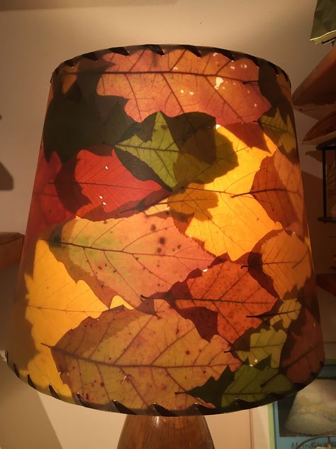 "Like looking through the forest floor, this real pressed oak leaf lampshade sets an earthy atmosphere in your home. Large reddish brown fall oak leaves are interspersed with green oak and other autumn color leaves for a beautiful overlapping pattern. When your lamp is on, the layers of leaves show their veins, colors and details with a warm woodsy glow. Botanical Lampshades have been made in Sandwich New Hampshire since 1950. The pressed leaves are in between a styrene backing and a clear prote Leaf Lampshade, Overlapping Pattern, Leaf Lamp, Leaf Lantern, Color Leaves, Green Lamp Shade, Pressed Leaves, Brown Fall, Diy Lamp Shade