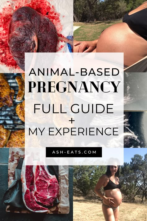 Looking for animal-based pregnancy resources? Pregnant or wanting to become pregnant and follow an animal-based diet? I was animal-based while pregnant and before, and I had a wonderful pregnancy. I compiled a bunch of animal-based pregnancy resources in one spot for easy reference if you're looking for information on being animal-based while pregnant. #animalbasedpregnancy #resources #animalbasedwhilepregnant Carnivore Diet During Pregnancy, Carnivore Pregnancy, Paleo Pregnancy, Keto Pregnancy, Food During Pregnancy, Diet While Pregnant, Animal Based Diet, Diet Results, Crunchy Moms