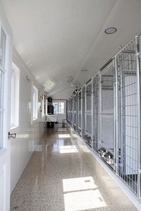 Insulated Dog Kennel Interior | Dog Kennel Design Photos Dog Breeders Kennels, Dog Breeding Kennels, Dog Kennel Flooring, Dog Boarding Ideas, Dog Breeding Business, Groom Room, Custom Dog Kennel, Dog Boarding Facility, Dog Boarding Kennels