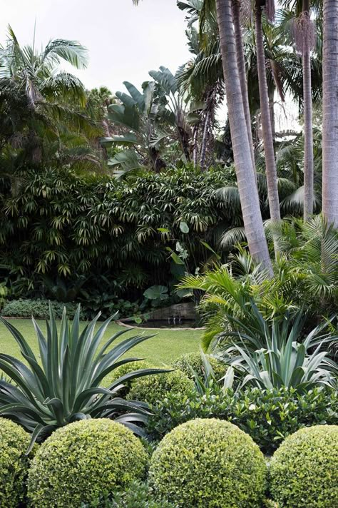 Light and Shade - Secret Gardens Landscape Architecture Tropical Planting, Hydrangea Landscaping, Topiary Garden, Front Garden Design, Estate Garden, Secret Gardens, Beach House Design, Home Landscaping, Garden Landscape Design