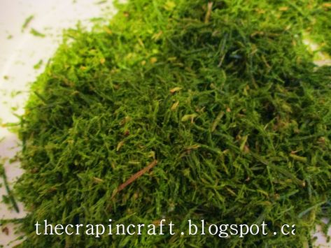 This DIY tutorial can be used to create realistic looking fake moss. To make this tutorial you will need:       A Pine tree  A pair of prun... Faux Moss Diy, Moss Ideas, Enchanted Forest Decorations, Fake Moss, Stone Garden Statues, Diy Recycled Projects, Fairytale House, Alice Tea Party, Faux Moss