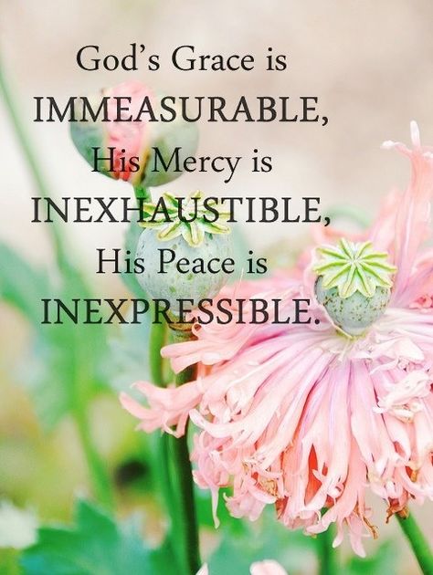 ❤❤❤ God’s Grace is immeasurable, HIs mercy is inexhaustible, His peace is inexpressible. Ms Project, God's Grace, Lord And Savior, Gods Grace, Amazing Grace, Spiritual Inspiration, Christian Inspiration, God Is Good, Bible Scriptures