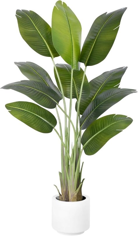 Amazon.com: ZEEOZE Artificial Bird of Paradise Plant 5Ft Tall Fake Tropical Palm Tree Large Fake Plants with 10 Silk Banana Leaves Faux Plant Indoor Decor Trees with White Pot for Home Bedroom Living Room Office : Home & Kitchen Palm Plant Indoor, Plant Indoor Decor, Large Fake Plants, Banana Leaf Decor, Artificial Indoor Trees, Birds Of Paradise Plant, French Country Rustic, Bird Of Paradise Plant, Indoor Tree