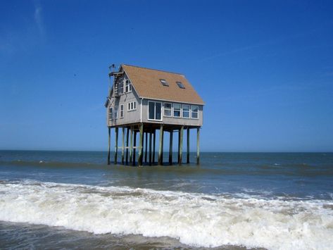 House on stilts off an island in Wachapreague, VA Stilts House, House On An Island, Houses On Stilts, House On Stilt, Derelict Places, Commercial Fishing, Abandoned Homes, House On Stilts, Water House