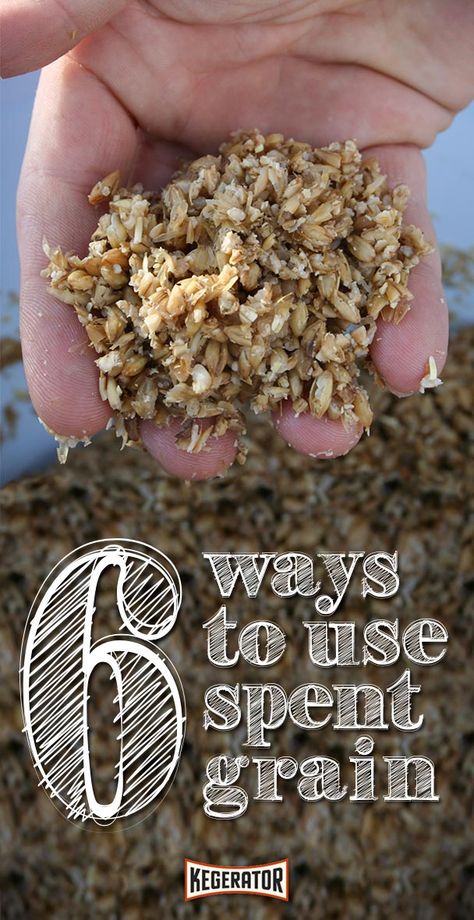 All Grain Brewing, Spent Grain, Beer Brewing Equipment, Brewing Recipes, Homebrew Recipes, Home Brewery, Home Brewing Beer, Malted Barley, Brewing Process