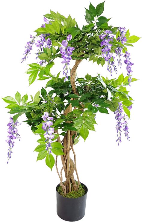 Leaf Design UK Realistic Artificial Wisteria Tree, Mixed Materials, Purple, 110cm : Amazon.co.uk: Home & Kitchen Cottagecore Life, Outdoor Topiary, Golden Bamboo, Wisteria Tree, Purple Wisteria, Japanese Tree, Artificial Topiary, Artificial Plants And Trees, Fake Trees