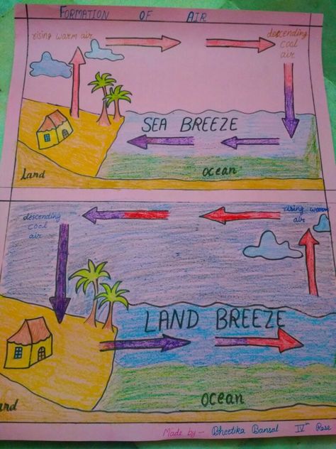 Formation of land Breeze and Sea Breeze Sea Breeze And Land Breeze Diagram, Sea Breeze And Land Breeze Project, Land Breeze And Sea Breeze, Butterfly Life Cycle Craft, Easy Butterfly Drawing, Social Science Project, Life Cycle Craft, Easy Butterfly, Earth Space