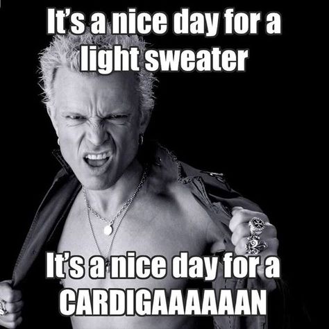 Gotta love Wisconsin and Illinois weather in the winter!...It's a nice day for a light sweater. It's a nice day for a cardigan Music Meme...Since we got a nice heat wave, you should come out to karaoke at Route 41 Roadhouse with DJ Magic Mike tonight! #billyidol #whitewedding #lightsweater #cardigan #karaoke #dj #music #saturdaynight #saturdayfun #karaokenight #musicdj #djnight #karaokedj #nightout #illinois #route41roadhouse #Wadsworth #luckyentertainment #luckydjs #saturday #saturdaynightkarao Misheard Lyrics, Funny Troll, I Respect You, Billy Idol, Morning Humor, Light Sweater, Puns, I Laughed, Funny Quotes