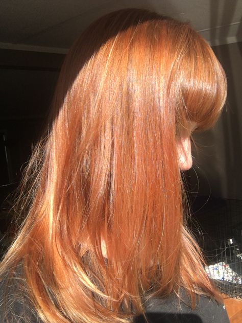 Orangish Red hair #redhead Orange Roots Red Hair, Light Red Orange Hair, Orangish Red Hair, Whole Head Dyed Hair Red, Orange Red Hair Aesthetic, Hair Stripes, Hair Colors, Redheads, Red Hair