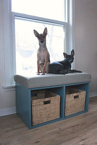 Dog Bed Bench, Dog Window Seat, Window Seat Storage Bench, Window Storage Bench, Bench Window, Diy Window Seat, Window Seat Storage, Dog Window, Diy Storage Bench