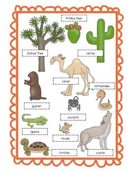 Desert Habitat Desert Ecosystem Project, Ecosystem Project, Desert Crafts, Desert Habitat, Habitat Project, Biomes Project, Desert Diorama, Ecosystems Projects, Desert Biome