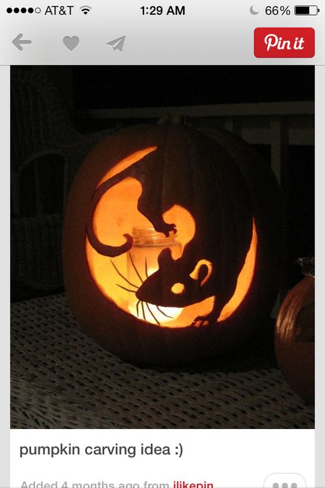 Rattus Simple Jack, Lantern Template, Cute Pumpkin Carving, Scary Halloween Pumpkins, Pumkin Carving, Halloween Pumpkin Carving Stencils, Creative Pumpkin Carving, Amazing Pumpkin Carving, Easy Pumpkin Carving