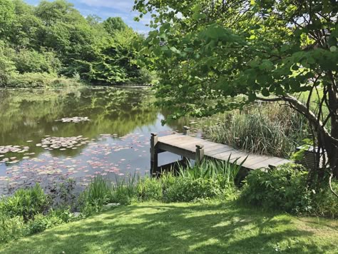 Pond With Dock, Cottage Pond, Garden Tools Decor, Natural Swimming Ponds, Lake Garden, Farm Lifestyle, Swimming Pond, Natural Pond, Pond Design