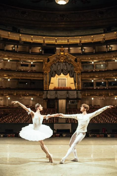 Mariinsky Ballet's Oxana Skorik and Vladimir Shklyarov Vladimir Shklyarov, Ballet Pictures, Dance Forever, Ballet Beauty, Ballet Poses, Ballet Inspiration, Ballet School, Dancing Aesthetic, Shall We Dance