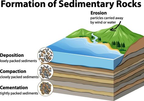 Formation of sedimentary rocks Sedimentary Rock Formation, Geography Notes, Fantasy Terrain, Rock Tumbling, Rock Cycle, Diagram Design Ideas, Growth Mindset Posters, 8th Grade Science, Study Flashcards