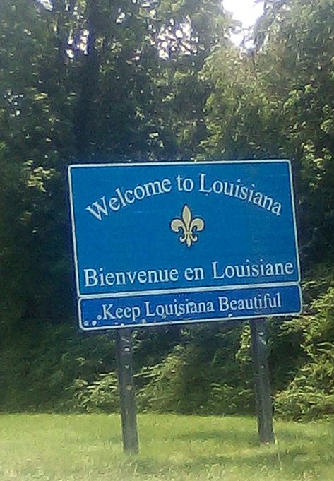 Louisiana Magnolia, Covington Louisiana, Louisiana Bayou, City Mom, Lafayette Louisiana, Style South Park, South Louisiana, Lake Charles, Southern Gothic