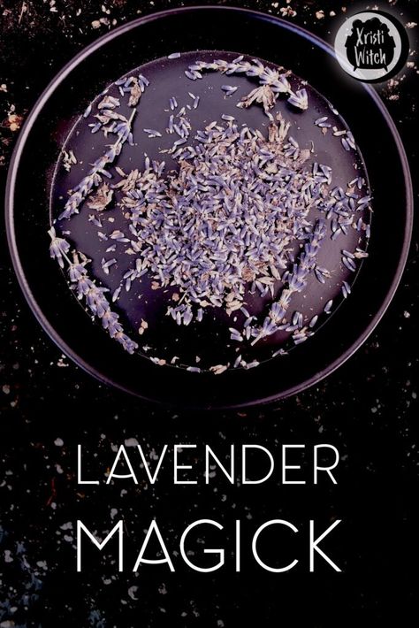 Witch Hacks, Witchy Recipes, Witchy Herbs, Herb Magick, Harvesting Lavender, Sacred Herbs, Flower Magic, Lavender Recipes, Witch Tips