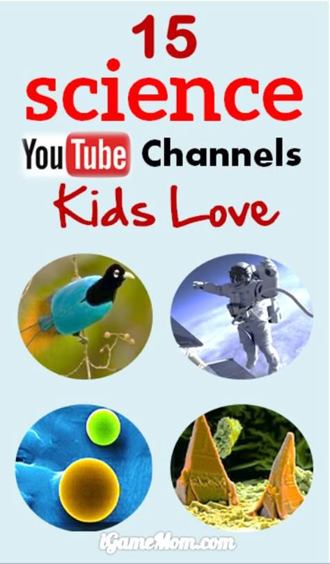 Science Videos For Kids, Learn Science, Cool Science, Kid Science, 4th Grade Science, 6th Grade Science, Science Videos, Kindergarten Science, Preschool Science