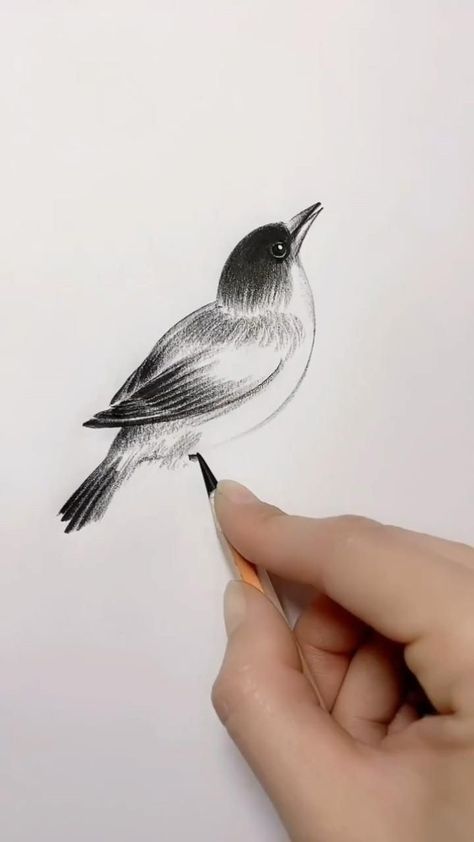 Birds Drawing Pencil, Pencil Art Love, Easy Hand Drawings, Colored Pencil Art Projects, Magic Runes, Colorful Landscape Paintings, Shading Drawing, Aluminum Foil Art, Nature Art Drawings