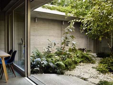 Japandi Garden, Hydrangea Aspera, Dan Pearson, Landscape Details, Japanese Forest, Juergen Teller, Bad Reputation, Concrete Garden, Asian Design