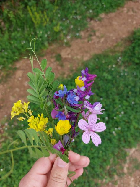 Handful Of Flowers, Ghibli Spring, Flowers From Bf, Handpicked Flowers, Pencil Drawings Of Nature, Travel Pose, Fruit Picking, Nothing But Flowers, Holding Flowers