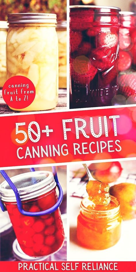 50+ Fruit Canning Recipes: Canning for Beginners - Learn how to can fruit! No matter the fruit, there's a way to go about canning it for long term food storage. From canning apples to canning watermelon, this guide to water bath canning fruit is essential during the summer fruit harvest. water bath canning recipes | creative canning recipes | preserving fruit in jars | storing fruit in mason jars | jam canning recipes | canned fruit recipes How To Can Fruit, Canning Preserves, Fruit Canning Recipes, Preserving Fruit In Jars, Canning Fresh Fruit, Canning Fruit Cocktail, Canning Juice Recipes, Canning Fruit Juice, Waterbath Canning Recipes