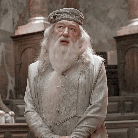 Albus Dumbledore Aesthetic, Young Dumbledore, Harry Potter Photo Wall, Yn Stories, Harry Potter Dumbledore, Michael Gambon, Harry Potter Icons, Harry Potter Pictures, Harry Potter Theme