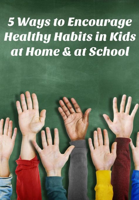 Check out 5 ways to encourage Healthy Habits in your kids both at home and in school! #ad E Newsletter, Middle School Lessons, Secondary Teacher, Classroom Management Strategies, Social Studies Resources, Social Studies Lesson, Middle School Science, Teaching Strategies, Elementary Teacher