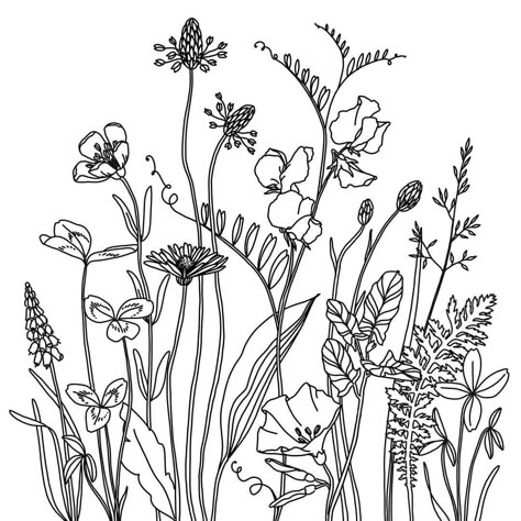 Coseup of the wildflower medow I posted a few weeks ago.. #wildflowers #daisy #buttercup #sweetpea #illustration #floralillustration… Wildflower Line Drawing, Wildflower Drawing, Botanical Line Drawing, Flower Line Drawings, Flower Drawing Design, Floral Drawing, Small Drawings, Pola Sulam, Flower Doodles