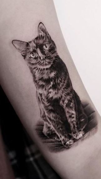 Cat Hand Tattoo, Cat Face Tattoo, Cat Lover Tattoo, Cat Face Tattoos, Tattoo Gato, Cat Portrait Tattoos, Lover Tattoo, Black Cat Face, Kitty Tattoo