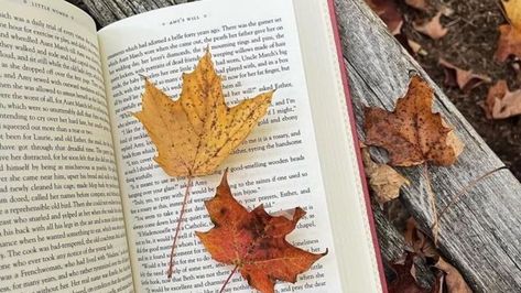 DIY maple leaves 🍁 #diy#diymapleleaf #paperleaf Light Brown Aesthetic, Fall Centerpiece Ideas, Fall Aesthetic Pictures, Cozy Fall Fashion, Wedding Locket, Studera Motivation, Shades Of Maroon, Elegant Centerpiece, American Threads