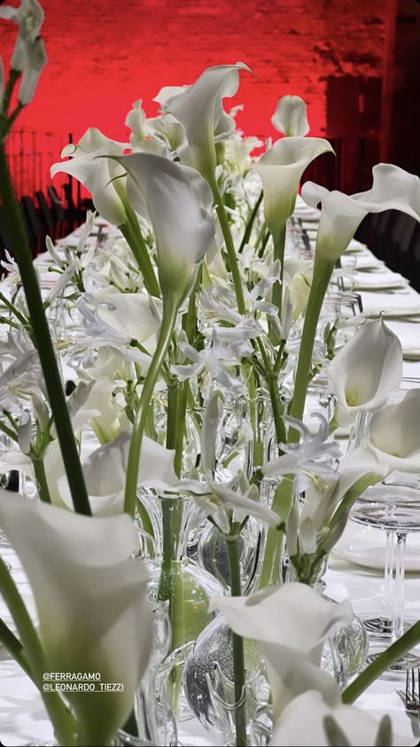 Calla Lily Table Arrangement, Calla Lilies Aesthetic, Black Calla Lily Arrangement, Modern Calla Lily Arrangement, Calla Lily Black And White, Flowers Nature, Calla Lily, Lily, Floral