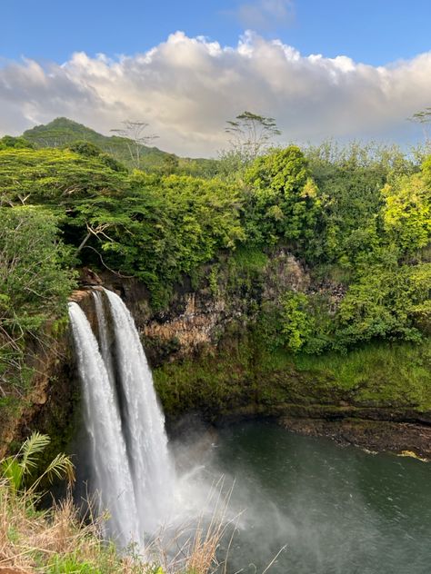 Beautiful waterfall in Kauai! #kauai #hike #hawaii #adventure Kauai Hawaii Aesthetic, Turtle Bay Hawaii, Poipu Kauai Hawaii, Chasing Mavericks, Swimming Benefits, Kauai Island, Hawaii Kauai, Napali Coast, Turtle Bay