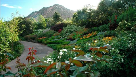 Utah Gardening, Red Butte Garden, Beautiful Parks, Desert Oasis, Formal Gardens, Beautiful Park, Fall Plants, Garden Care, City Landscape