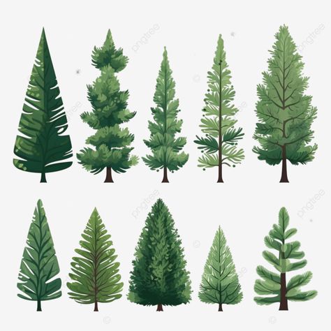 christmas trees in flat style isolated pine spruce fir vector illustration nature forest set png Pine Tree Illustration Simple, Fir Tree Drawings, Evergreen Illustration, Pine Illustration, Cute Firs, Pine Tree Illustration, Woods Illustration, Pine Tree Drawing, Tree Vector Illustration