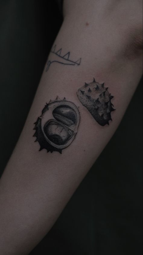 Тату каштан, стилизованное растение Conker Tattoo, Chestnut Tattoo, Tattoo Artist, Chestnut, Moscow, Tattoo Artists, Tatting, Tattoo Ideas, Piercings